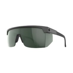 Spy Super Flyn